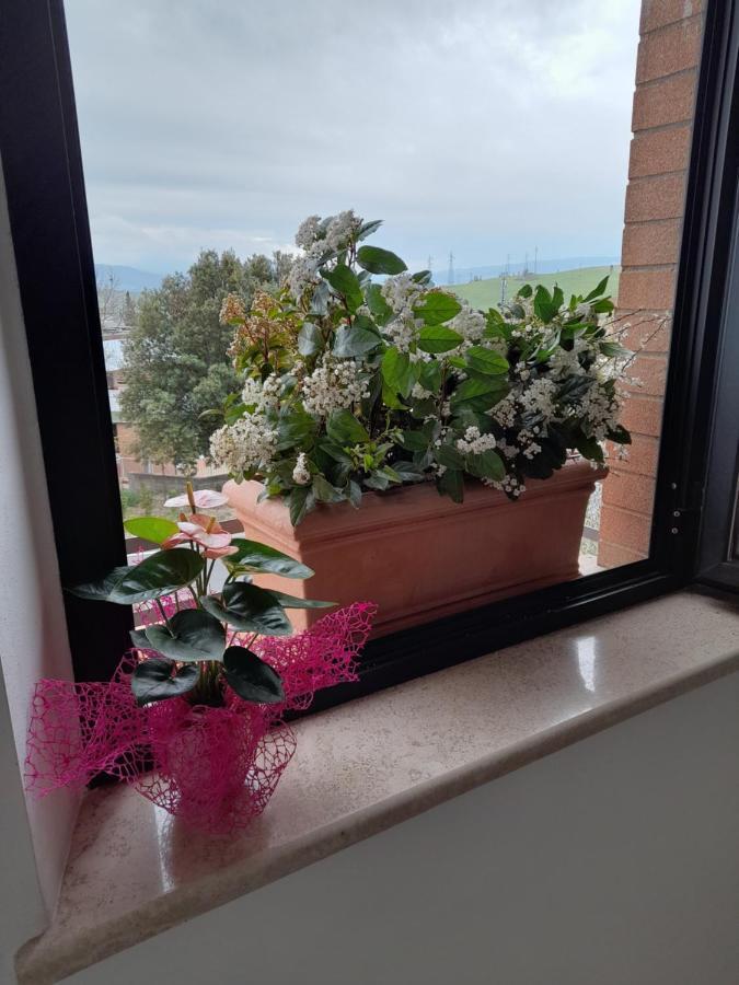 Un Passo Alla Volta Torrenieri Екстериор снимка